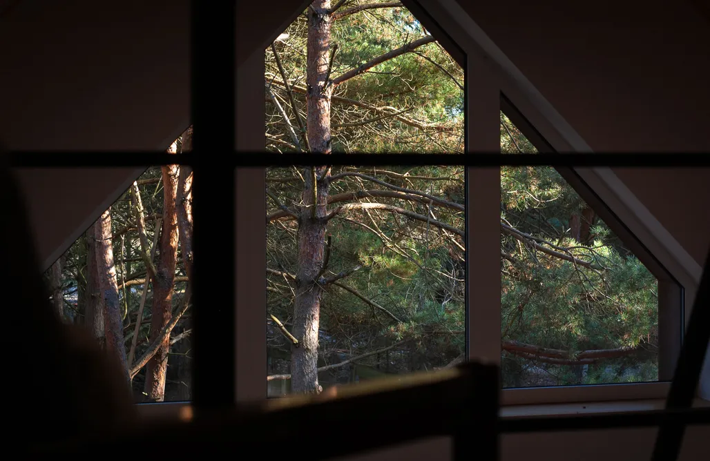 noclegi AlohaCamp Leśne wytchnienie 5