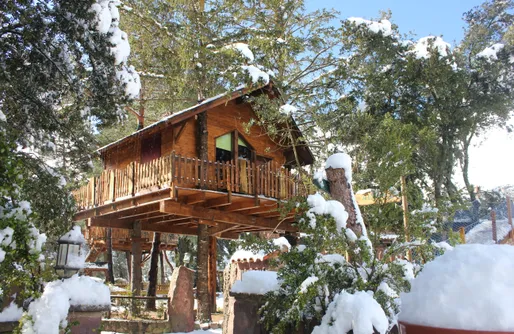 Imagen de Casas en los Árboles en Tarragona