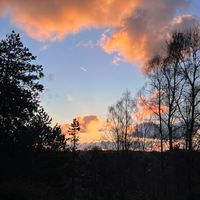 Louise propietario Grange atypique en pleine nature