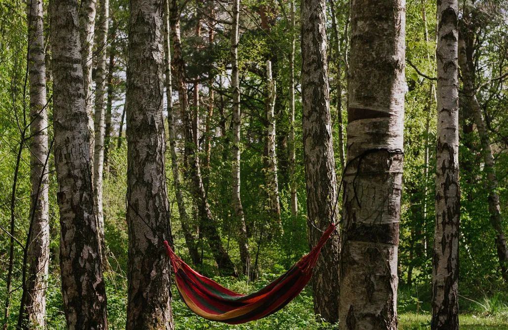 noclegi AlohaCamp Szumi las, szumi morze 4