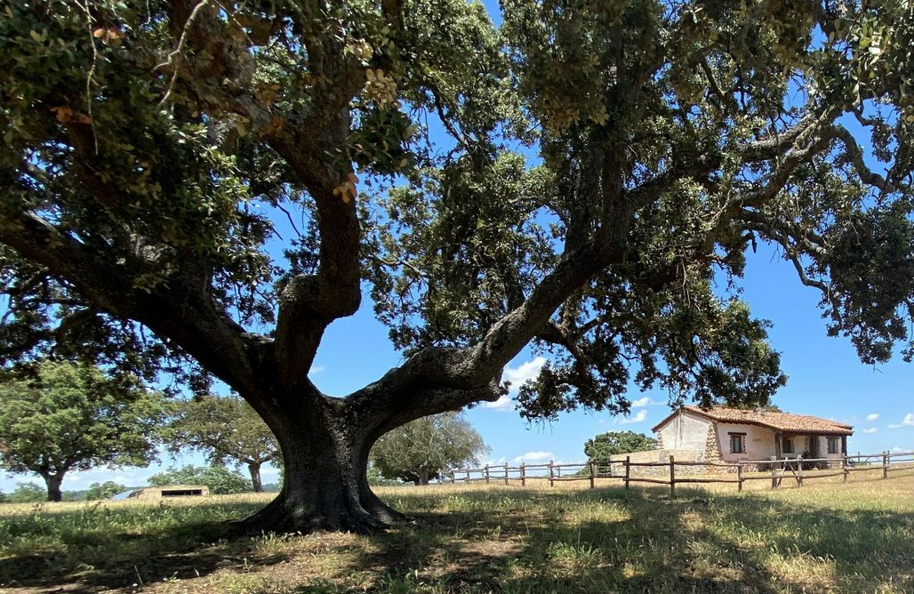 Casas Rurales En Extremadura Casa de 2 hab. en la Reserva Biológica Los Campanarios 2