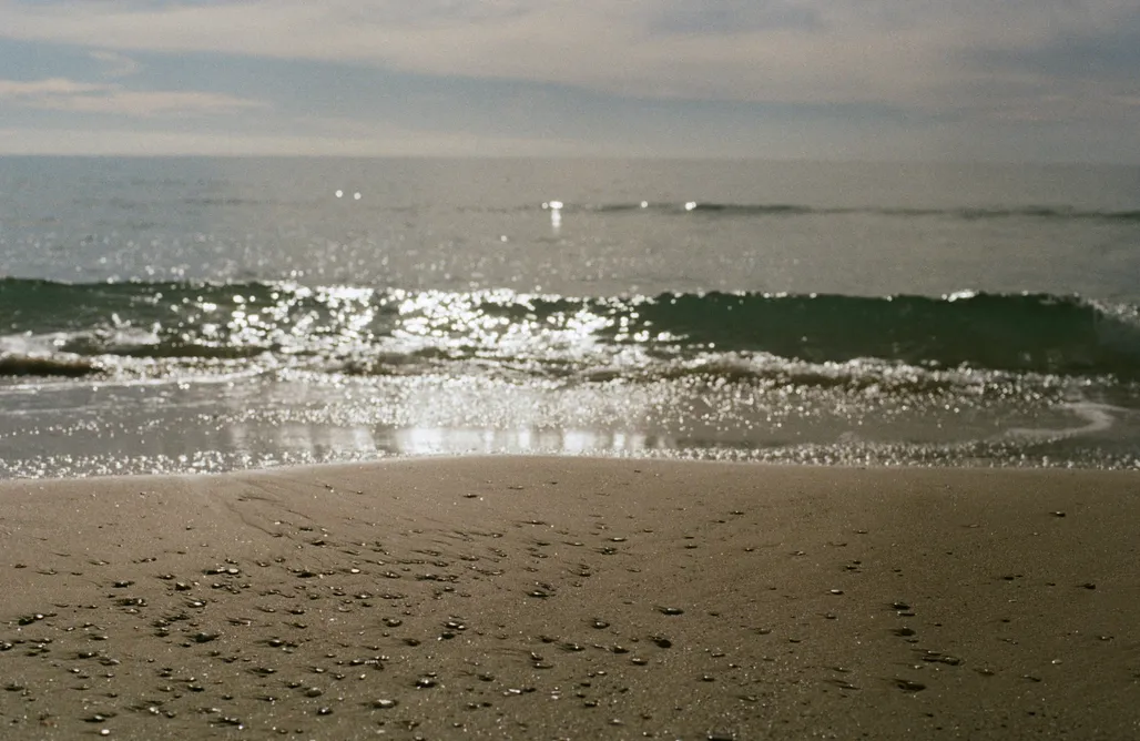 Alloggi AlohaCamp Glamping en el bosque 1