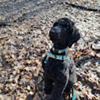 Katarzyna používateľ