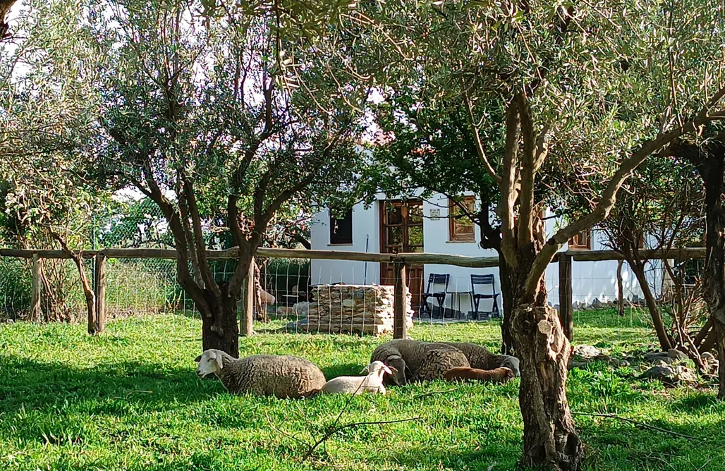 Cave House Spain Cortijo de Amor 2
