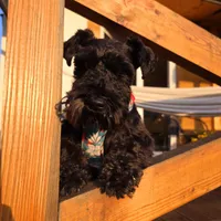 Marianna gospodarz Chatka Niedźwiadka Beskid Niski - domki w górach na odludziu z sauną w cenie