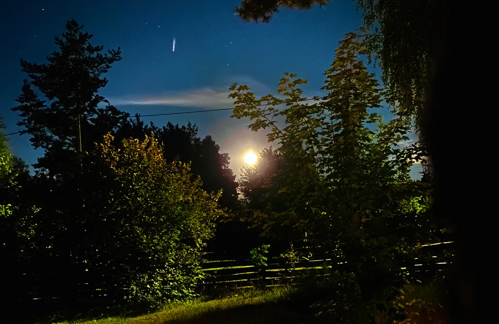 AlohaCamp Domek z sauną  1