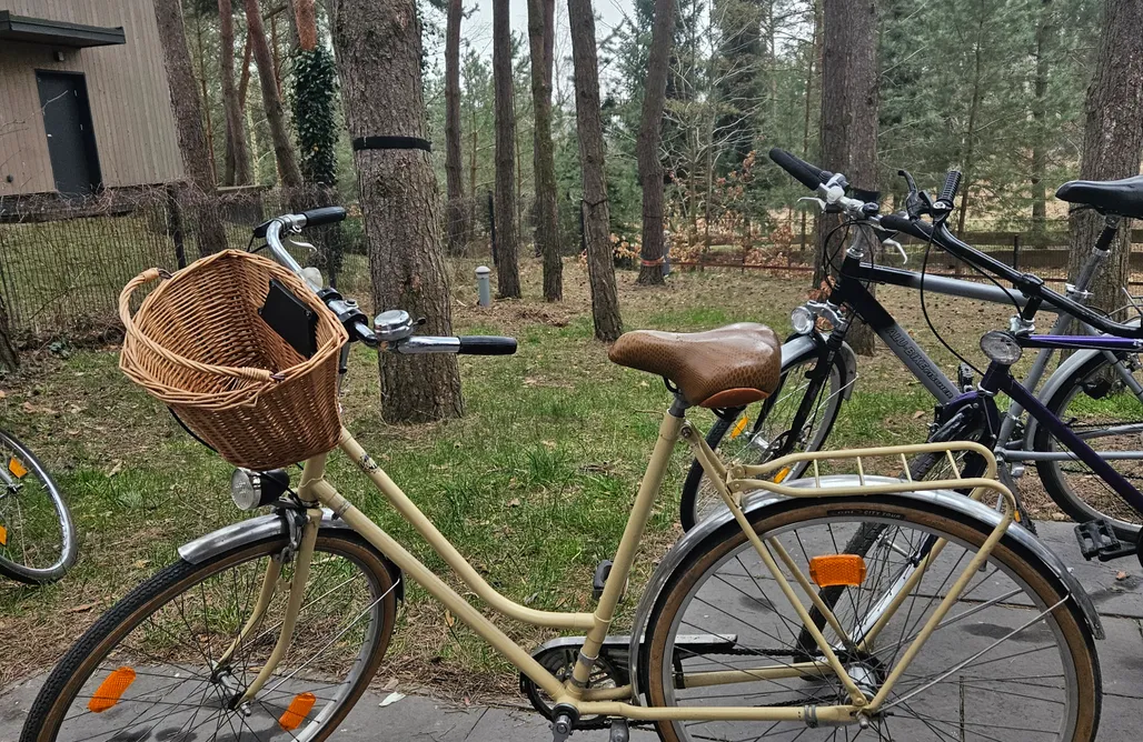 Polen Ferienhaus Mit Hund Dom nad Łąkami  1