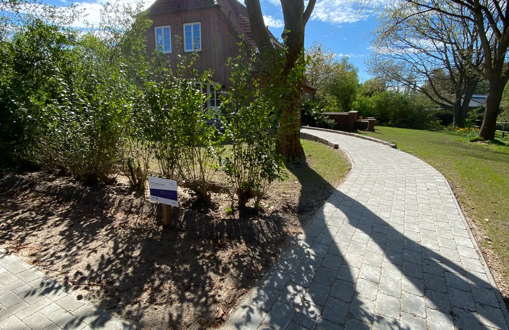 noclegi AlohaCamp Atelierhaus mit Seminarraum 1