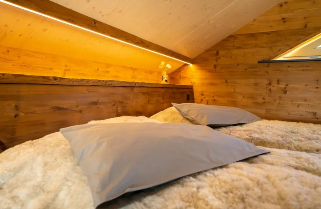 AlohaCamp Whisper of Alpacas 2