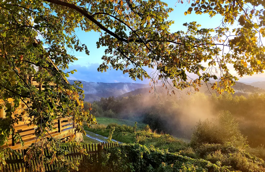 noclegi AlohaCamp Przytulia 3