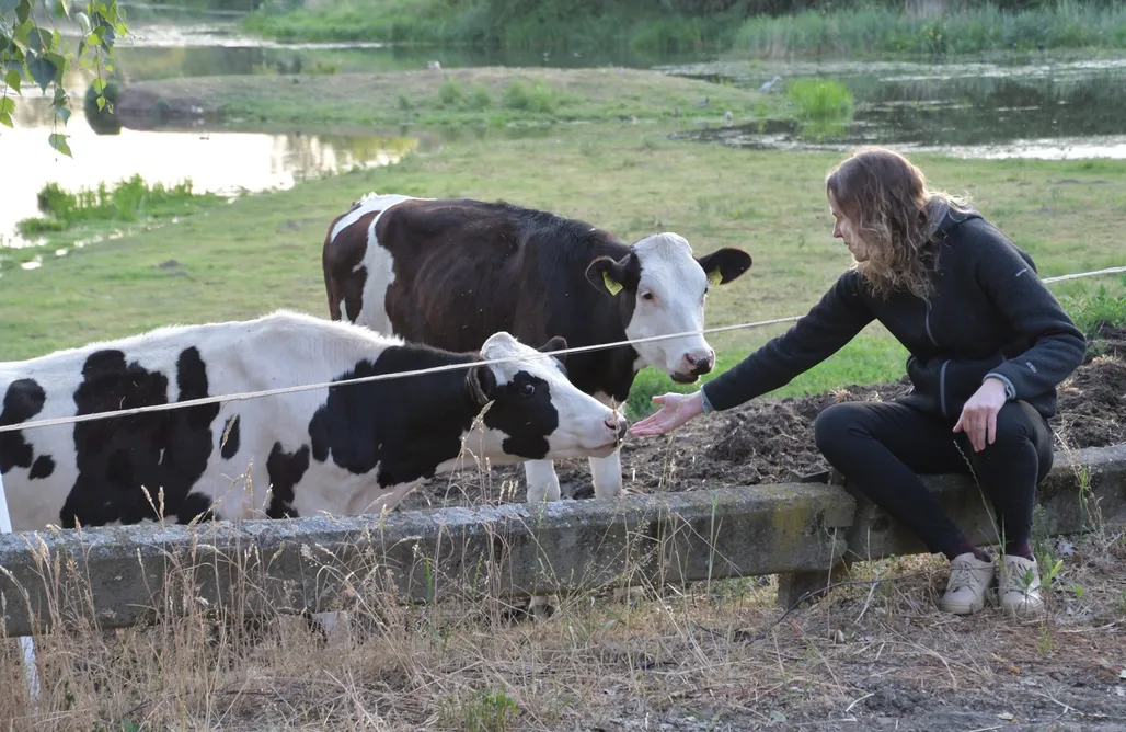 AlohaCamp Do góry kołami - Cały dom na wyłączność 1