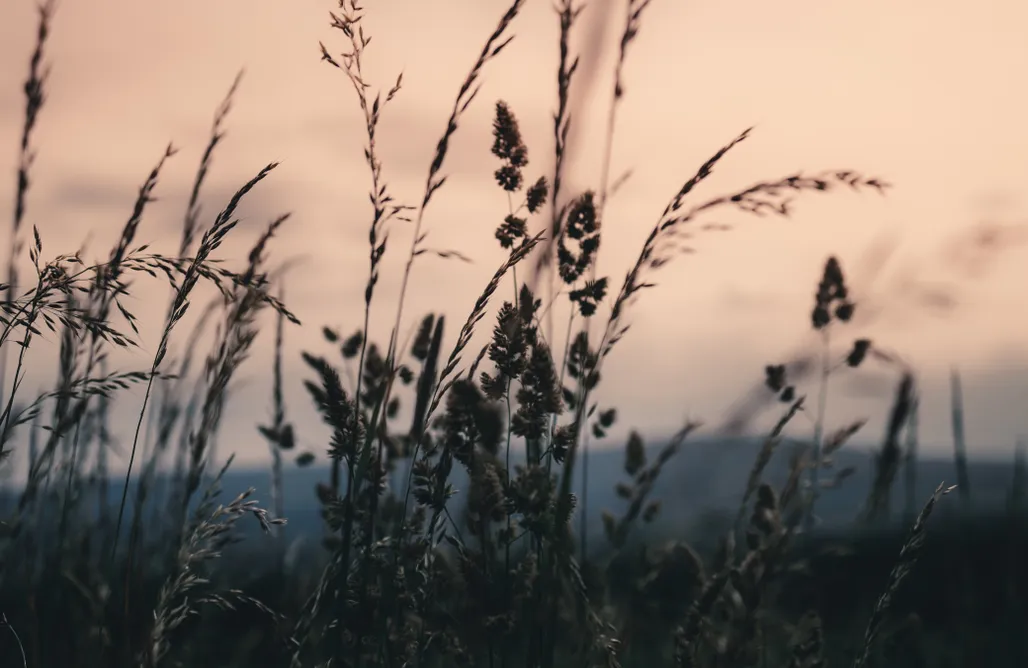 Świeradów-Zdrój Noclegi BioRezydencja 1