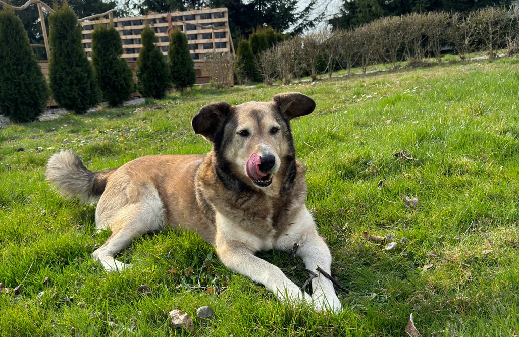 noclegi AlohaCamp Bonaluti Adults 1