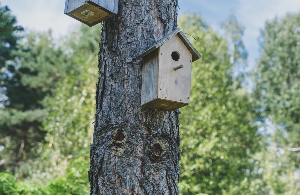 AlohaCamp accommodation Leśna Enklawa 1