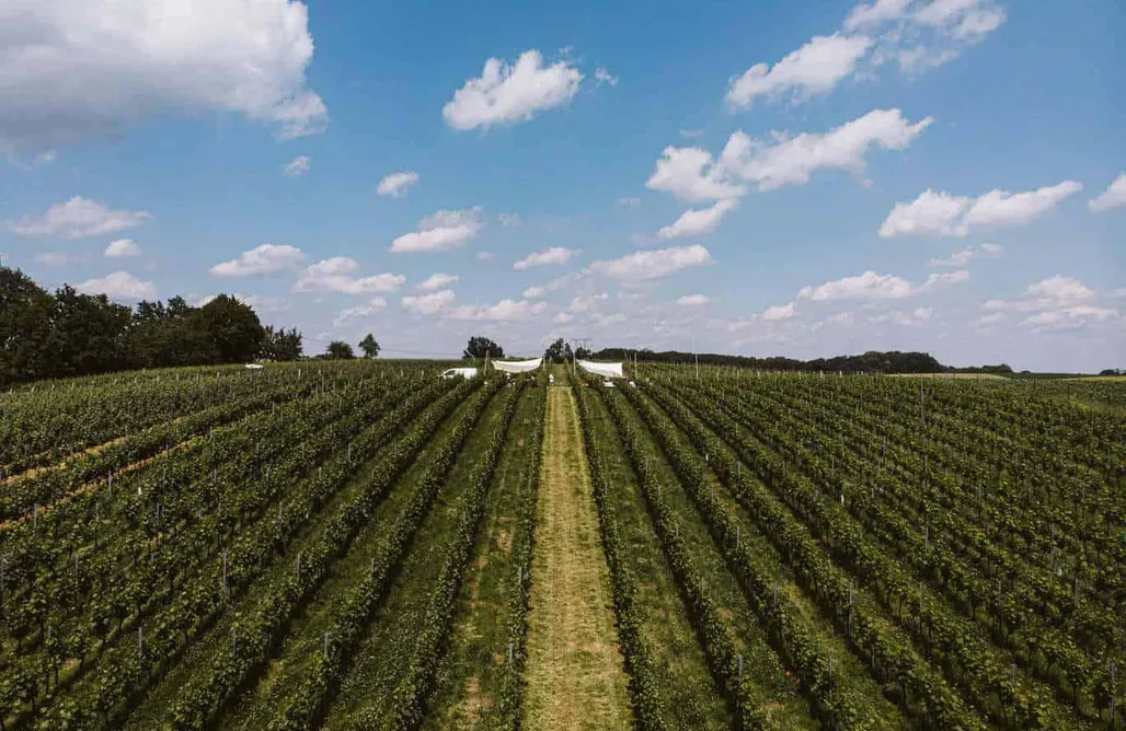 noclegi AlohaCamp Miejsce kamperowe - Winnica Wzgórz Trzebnickich 1