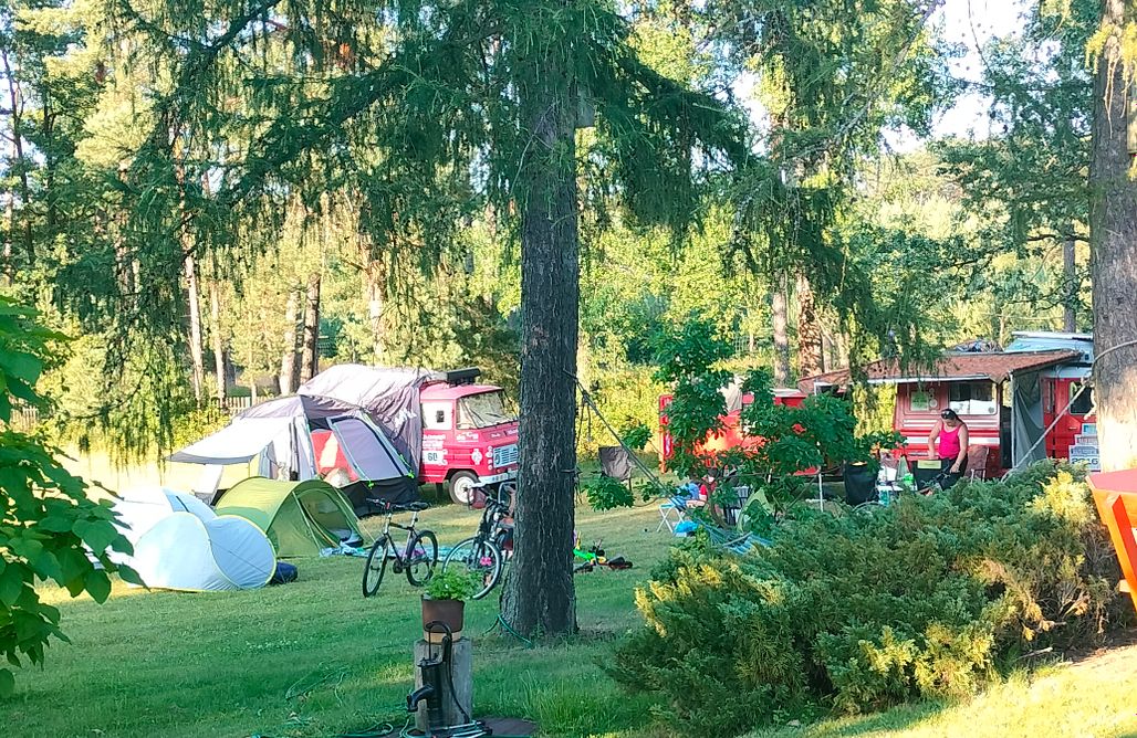 Alloggi AlohaCamp Miejsce kamperowe i namiotowe - Chata w lesie 1