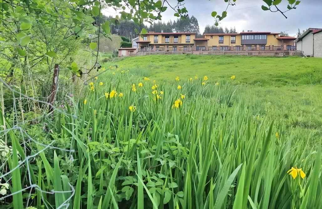 AlohaCamp Apartamento 4 1