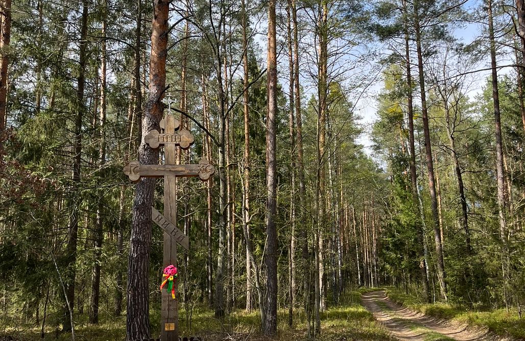 AlohaCamp Wiluki Nasz Dom 1