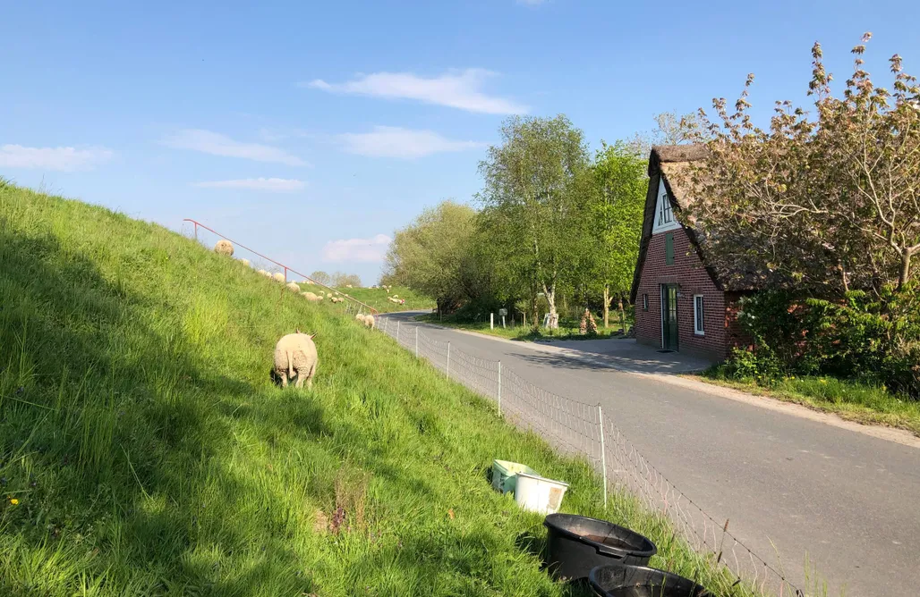 Unterkunft AlohaCamp Haus Käthe am Deich 4