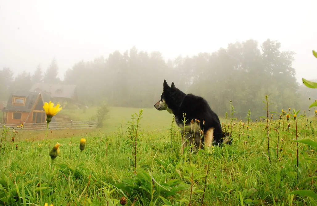 Brodnica Górna noclegi Jelinkowo Kaszuby 3