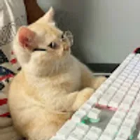 natalia utilisateur