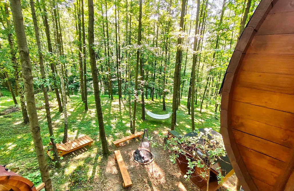 Czerwcówka 2026 Leśne Spanie Glamping domek na drzewie  1