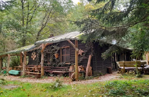 Zdjęcie obiektu Dziki dom w lesie łęgowym