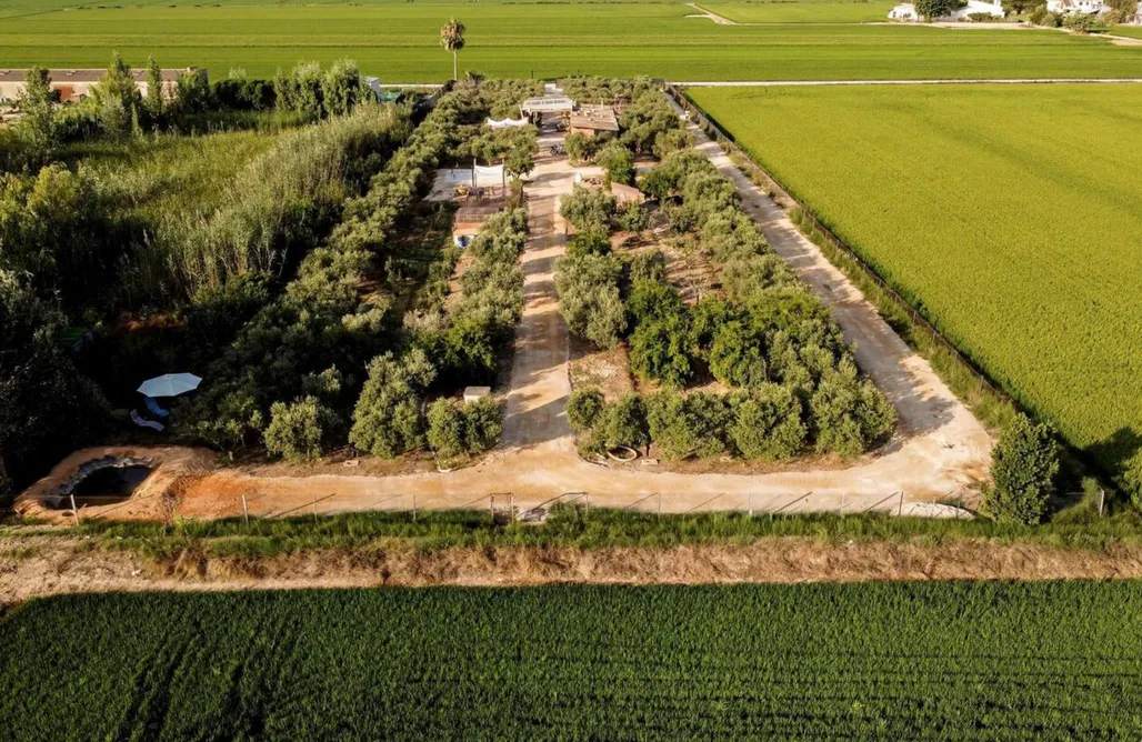 AlohaCamp Finca ¨La Oliva¨ 1