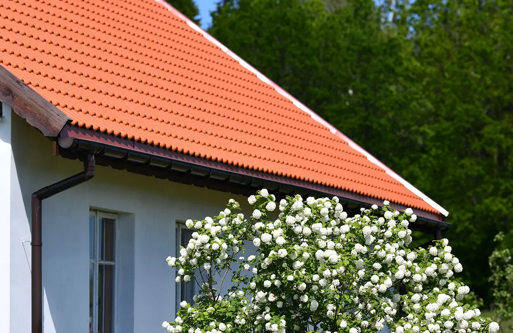 AlohaCamp Perły 27 2