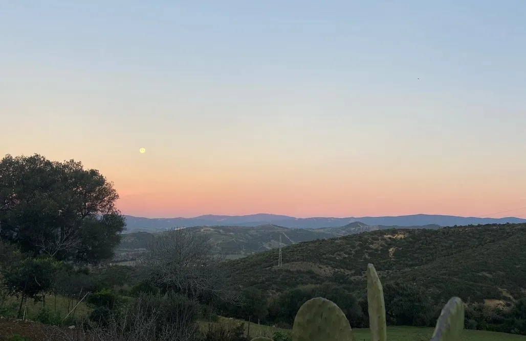 Unterkunft AlohaCamp The Wild Olive Andalucía  1