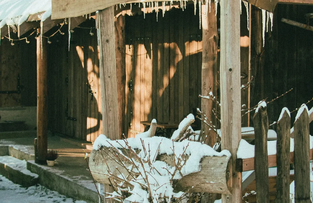 AlohaCamp Domek na wyłączność  1