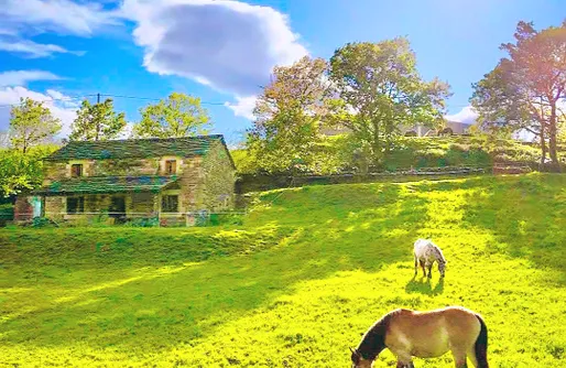 Imagen de Las Cabañas del Valle: Cabaña Los Caballos