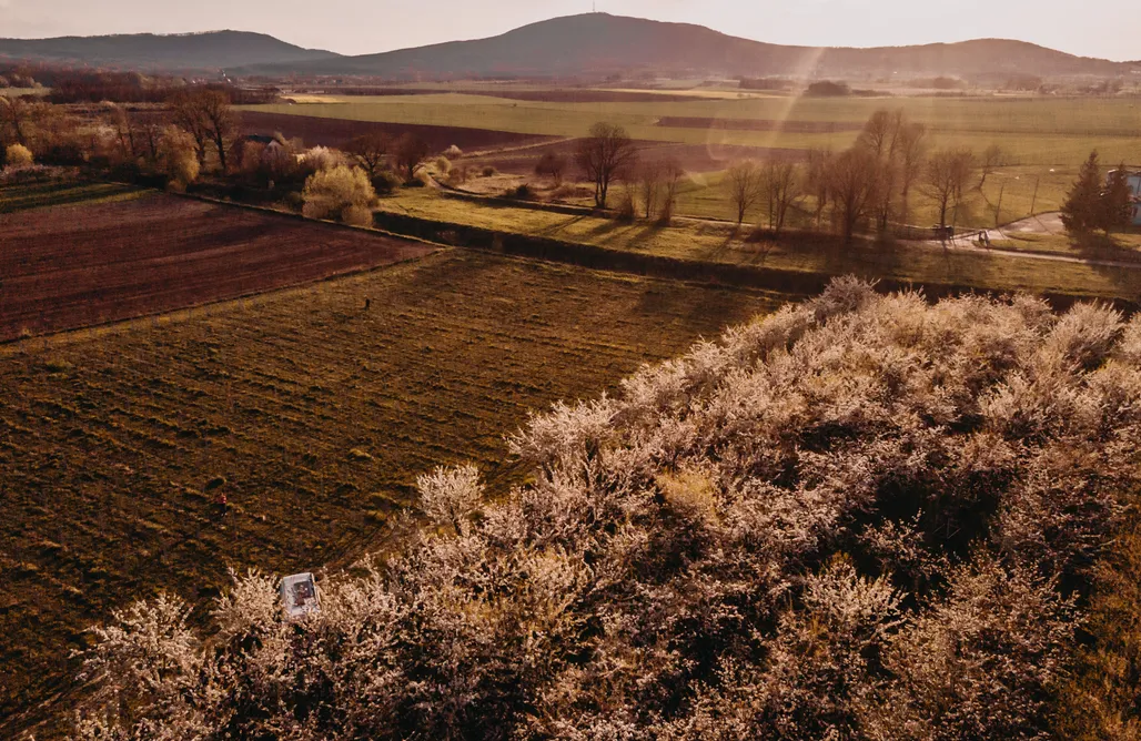 noclegi AlohaCamp Miejsce kamperowe - Winnica Ślężańska 1