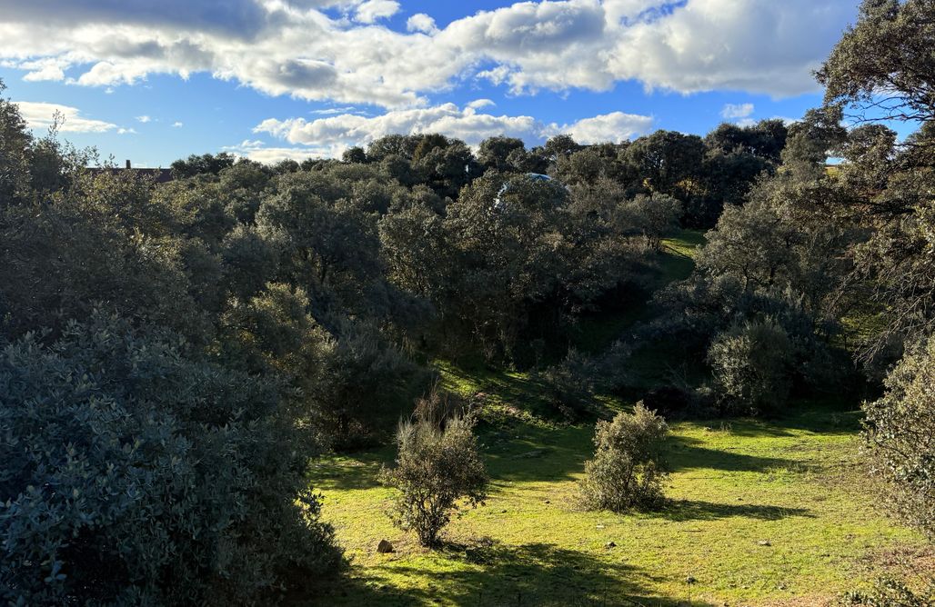 Hébergement AlohaCamp Claro de Luna dom - LUNA 2 - Domo de diseño en plena naturaleza  4
