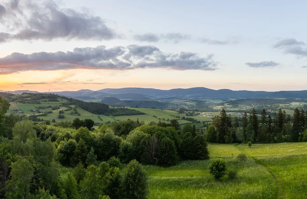 AlohaCamp Domek KOTlina 1