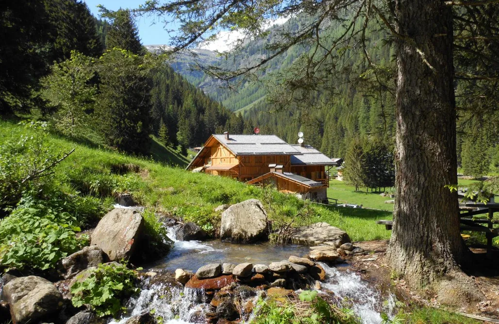 AlohaCamp accommodaties Maso Coler 2