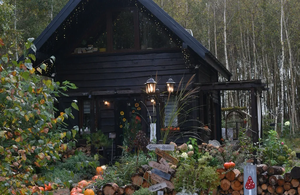 noclegi AlohaCamp Chata Morgany -my little forest- 4