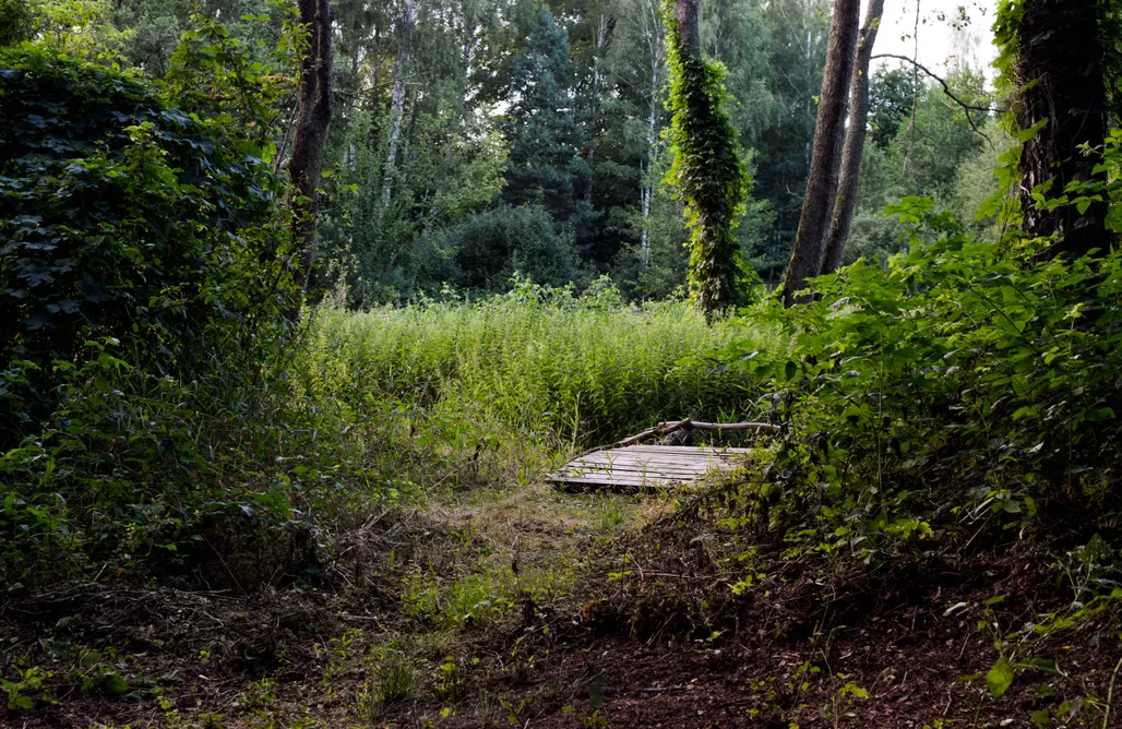 AlohaCamp accommodation Okno na Las 1