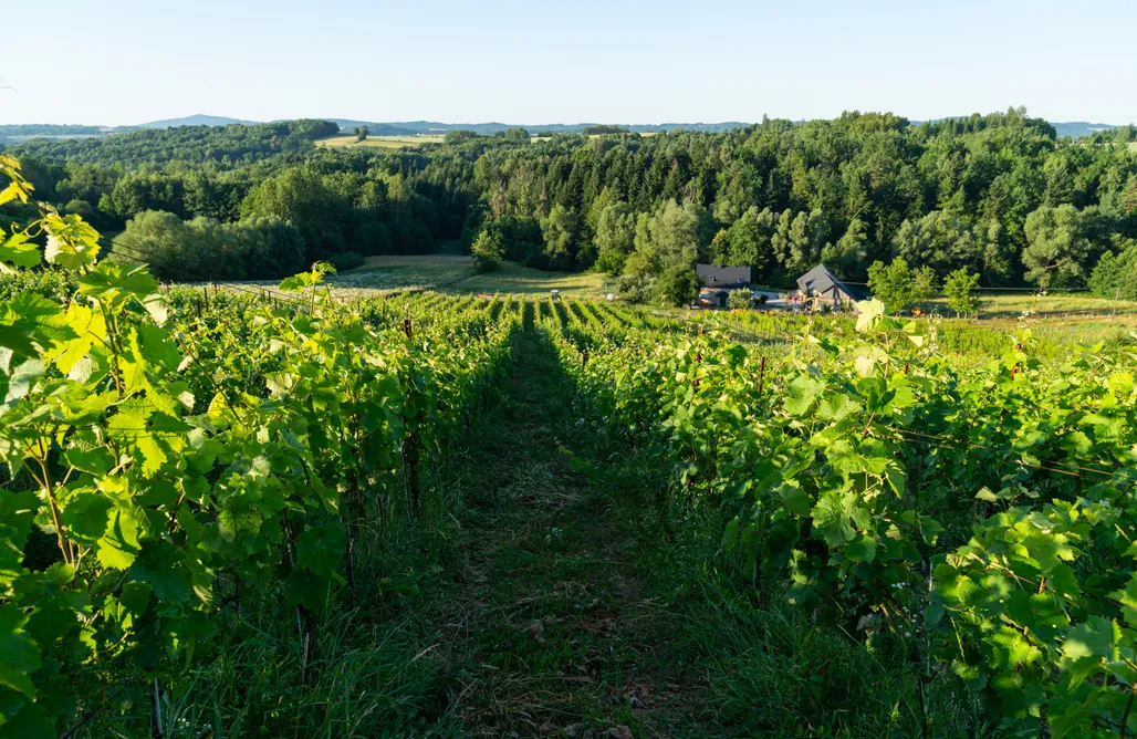 noclegi AlohaCamp Winnica Kosmos 5