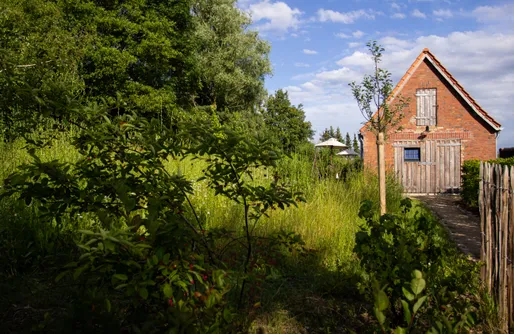 Imagen de Retiro Tranquilo: Chimenea & Jardín, para Parejas