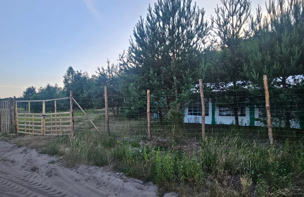 alojamientos AlohaCamp Miejsce kamperowe i namiotowe - Hopsolandia 5