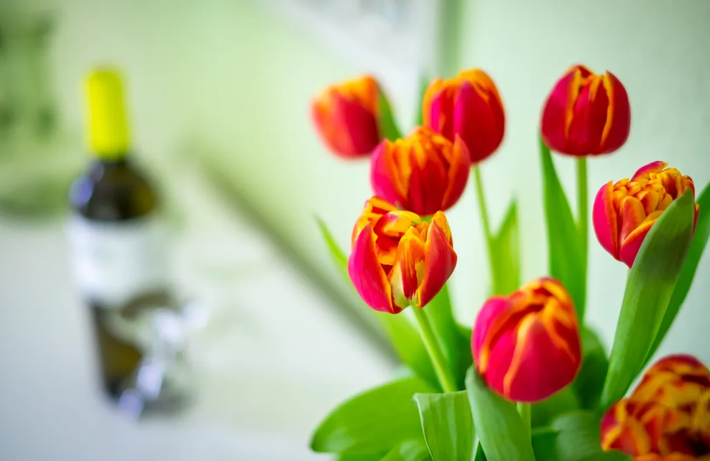 AlohaCamp Ferienwohnung im alten Bauernhaus (1 - 6 Pers.) 4
