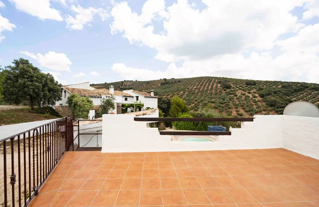 noclegi AlohaCamp El Serval 4