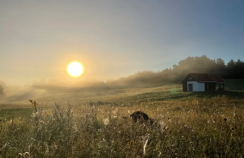 noclegi AlohaCamp Ublik Green - Polana 5