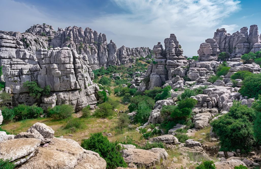 alojamientos AlohaCamp MalagaSuite Casa Rural Bobadilla 4