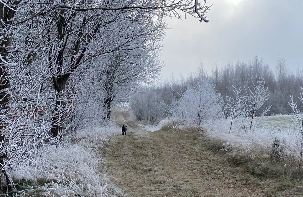 AlohaCamp Cicha Przystań  1