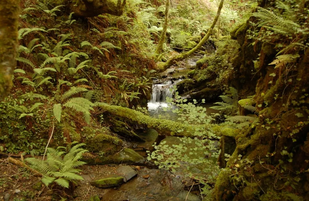 alojamientos AlohaCamp Acogedora Suite en Picos de Europa. 1