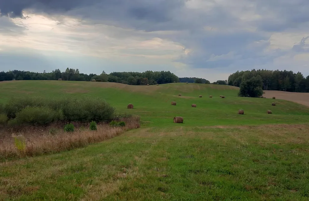Agroturystyka Białystok Cztery Klony 1