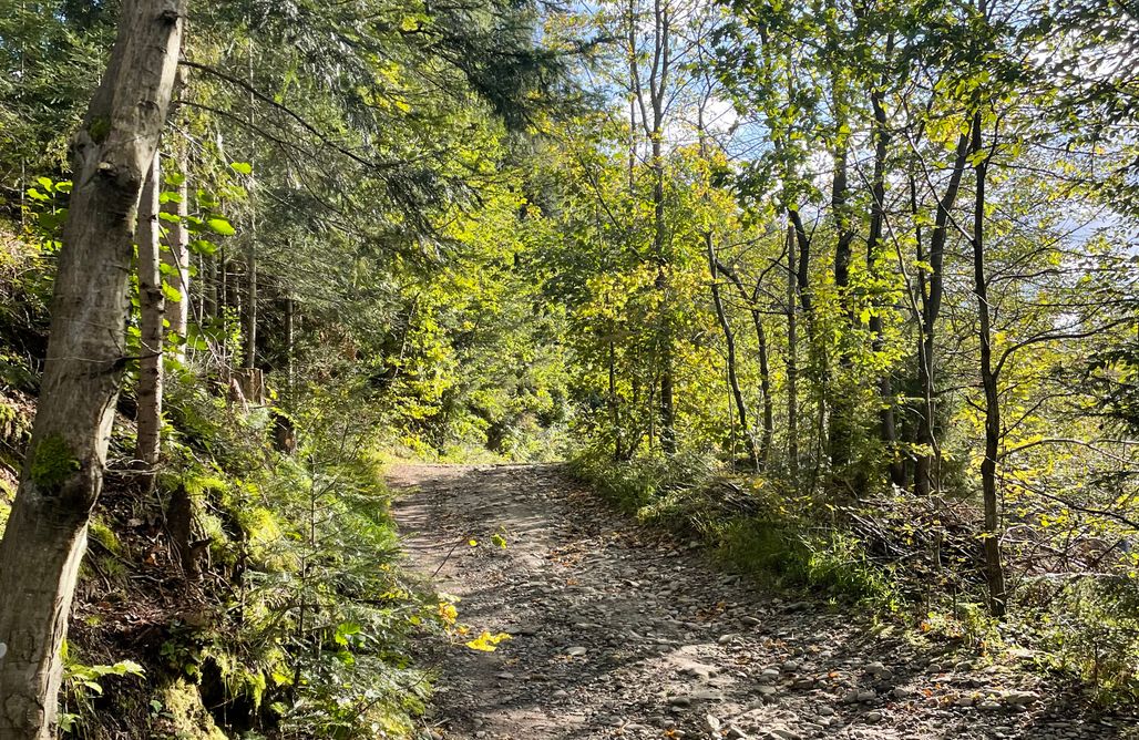 noclegi AlohaCamp Domek w Skrudzinie 1