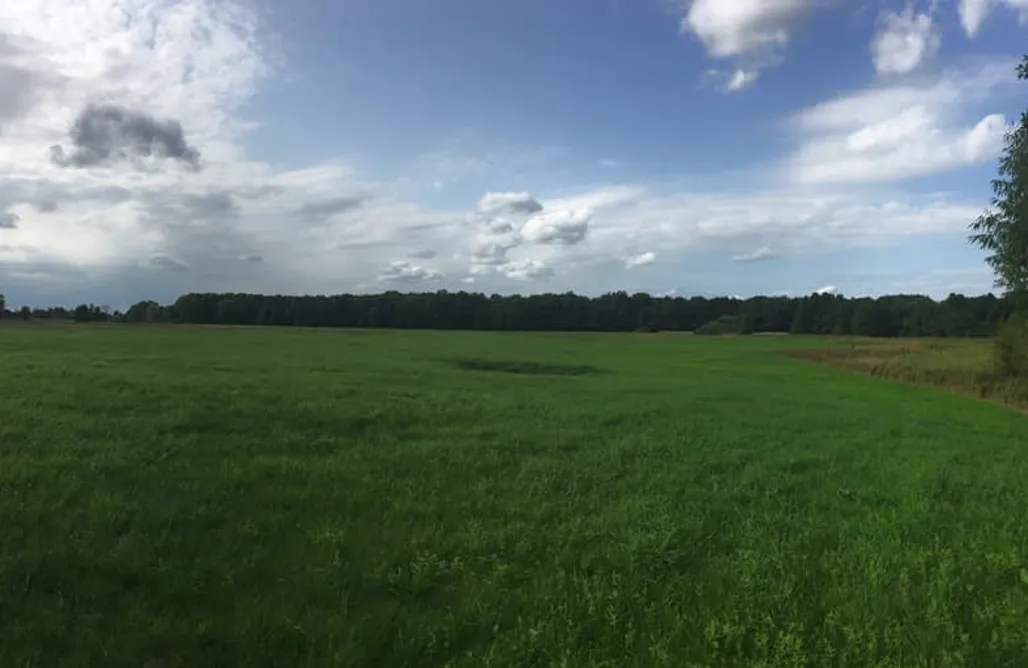 noclegi AlohaCamp Chata 3 Drogi 5